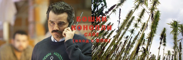 крисы Абдулино