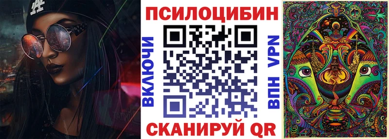 Псилоцибиновые грибы Psilocybine cubensis  купить   Кисловодск 