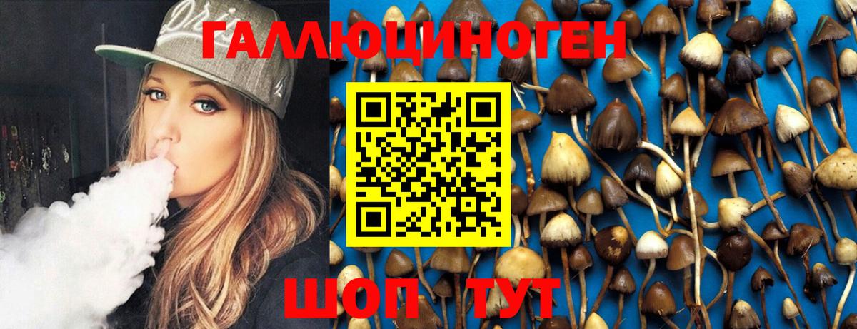 Галлюциногенные грибы GOLDEN TEACHER Кисловодск